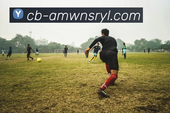 威尼斯人官网APP 体育赛事宣传图